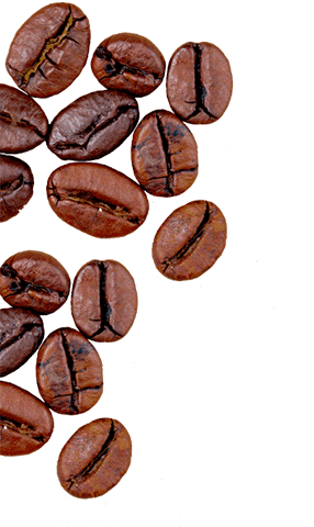 Coffee Beans - Caffè di Artisan